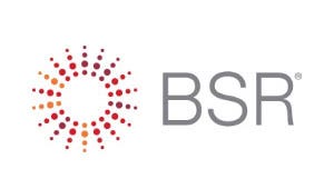 Business for Social Responsibility（BSR）
