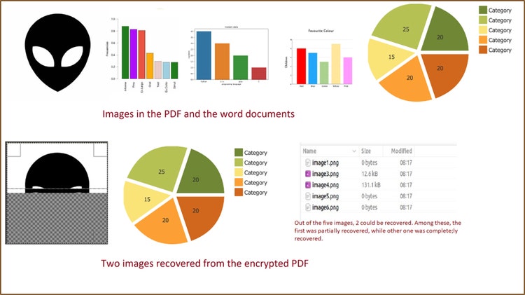 Figure 8. Evaluation of recovery of PDF and word files containing images that were encrypted by Fargo