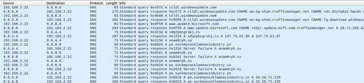 Figure 4 DNS requests made by Andromeda as observed on Wireshark.
