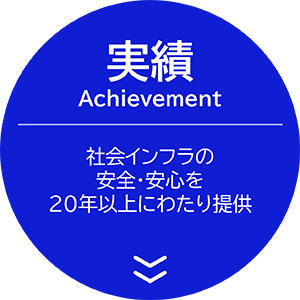 実績