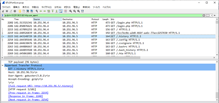 図4. 使用されたツール「gobuseter3.0.1」