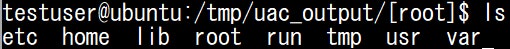 図7：[root]ディレクトリの中身