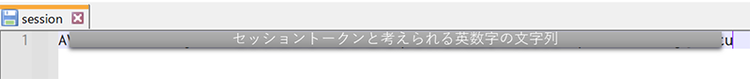 図16 sessionファイルの内容