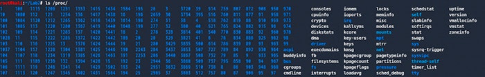 /procの内容