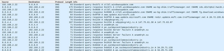 図 4 Wiresharkで確認したAndromedaによるDNSリクエスト