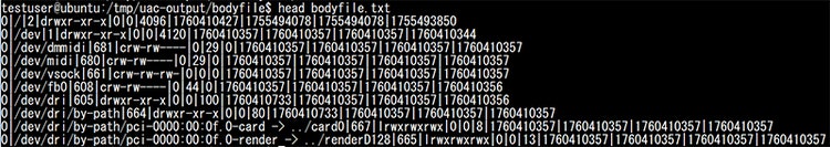 図9：bodyfile/bodyfile.txtの中身