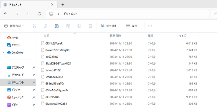 図1 盗み出し用ファイル