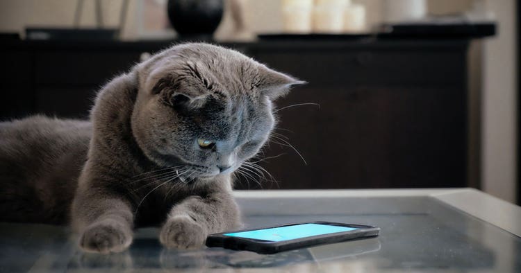 853220430