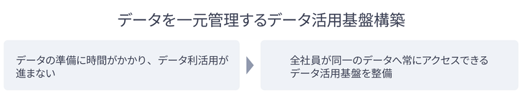 データを一元管理するデータ活用基盤構築