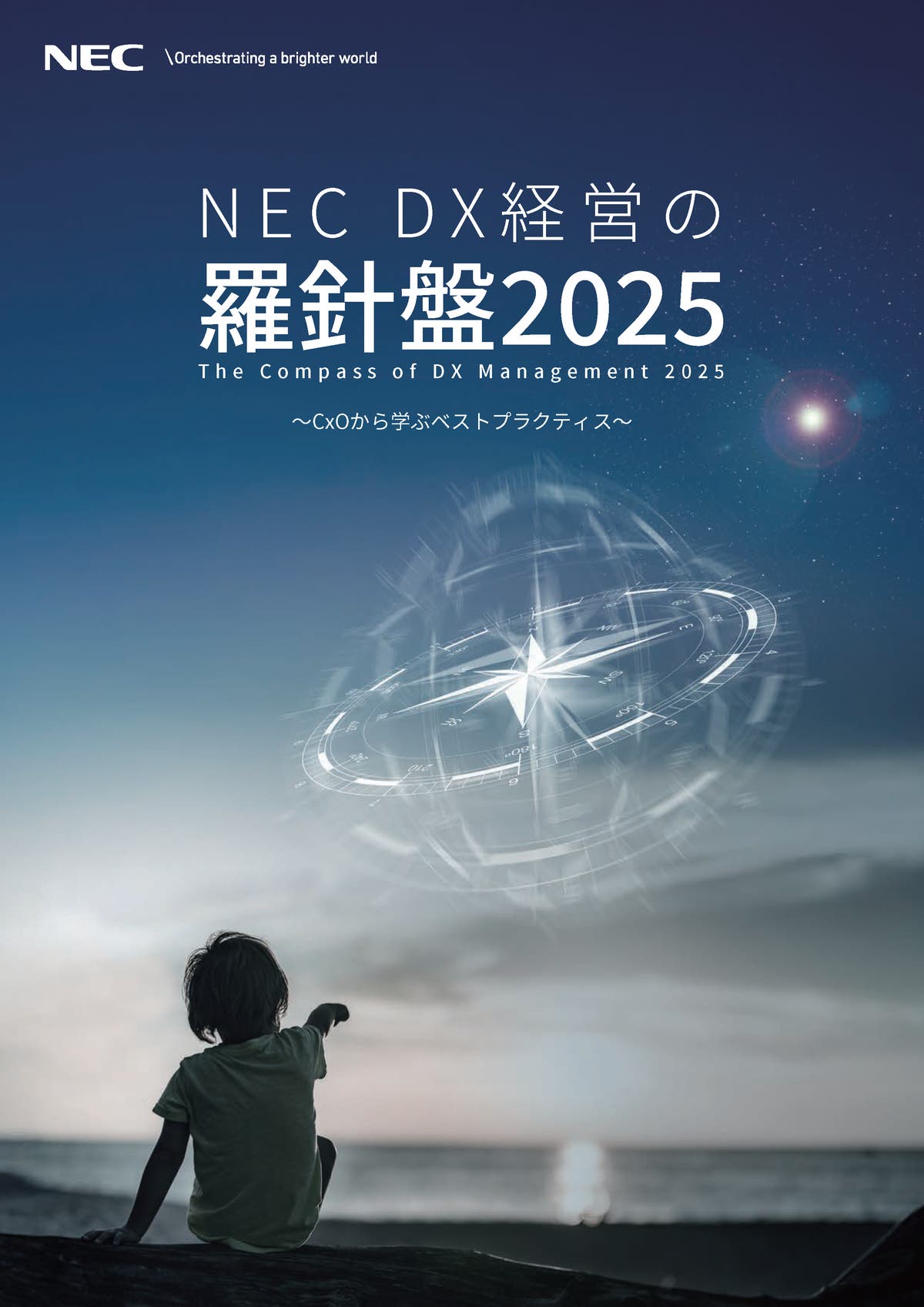BluStellar Report DX経営の羅針盤2025 : BluStellar | NEC